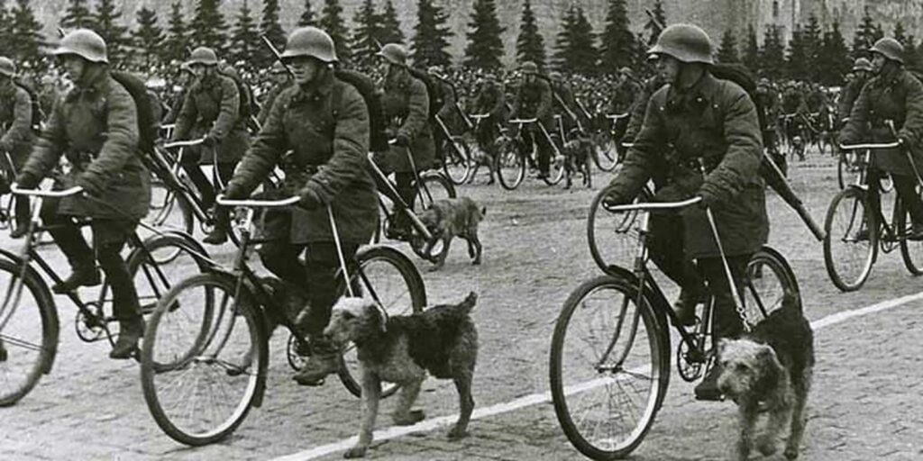О служебном собаководстве в СССР